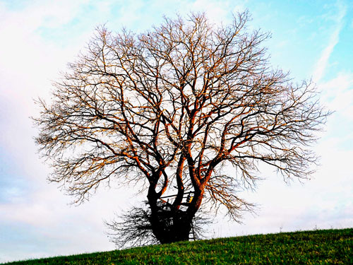 Ich bin genug, Sonntagsbetrachtung Ich bin genug, Sonntagsbetrachtung